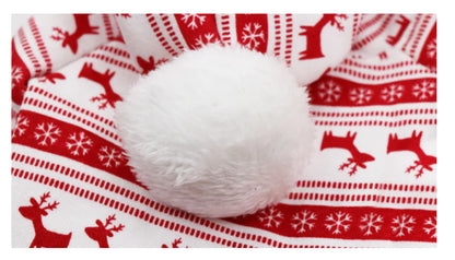 Gingerbread Dog Costume and Pet Accessories